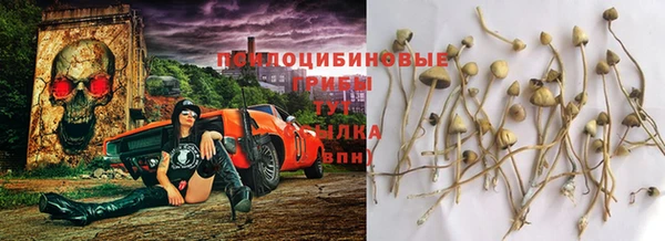 бошки Абинск
