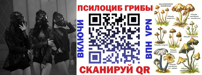 ссылка на мегу рабочий сайт  Волоколамск  Галлюциногенные грибы мицелий  купить  